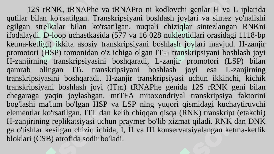 Mitoxondrial genom va uning vazifalari 7