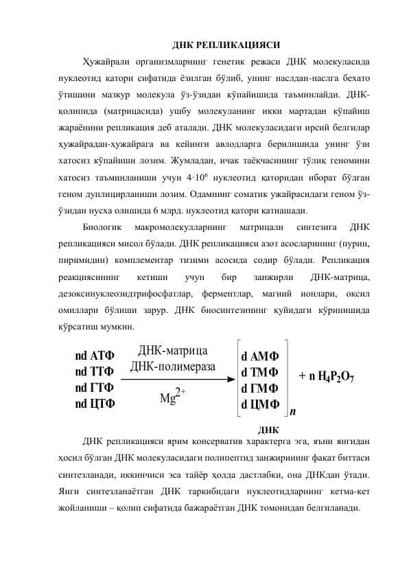 ДНК РЕПЛИКАЦИЯСИ 1