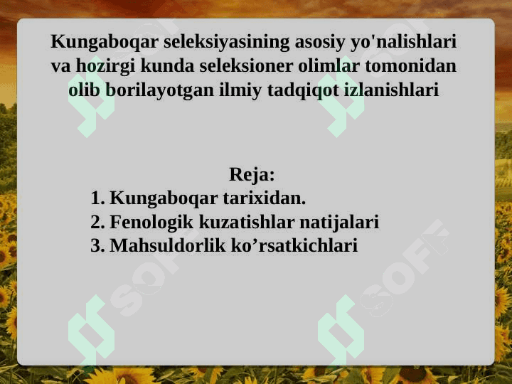 Kungaboqar seleksiyasining asosiy yo'nalishlari va hozirgi kunda seleksioner olimlar tomonidan olib borilayotgan ilmiy tadqiqot izlanishlari 2
