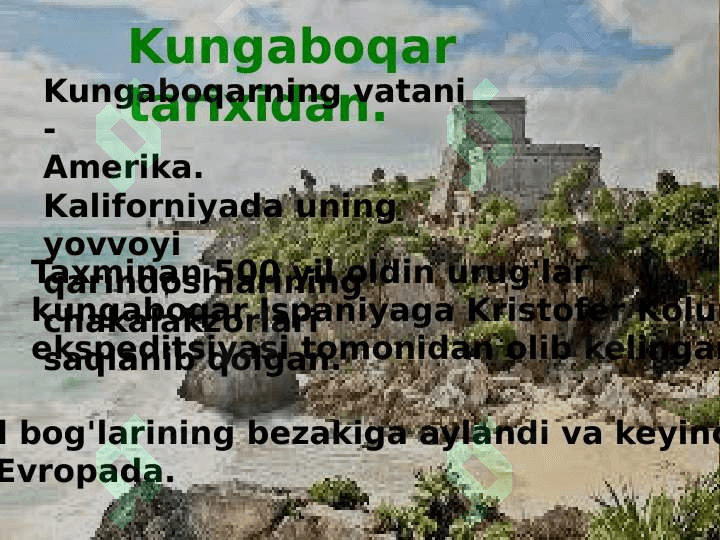 Kungaboqar seleksiyasining asosiy yo'nalishlari va hozirgi kunda seleksioner olimlar tomonidan olib borilayotgan ilmiy tadqiqot izlanishlari 5