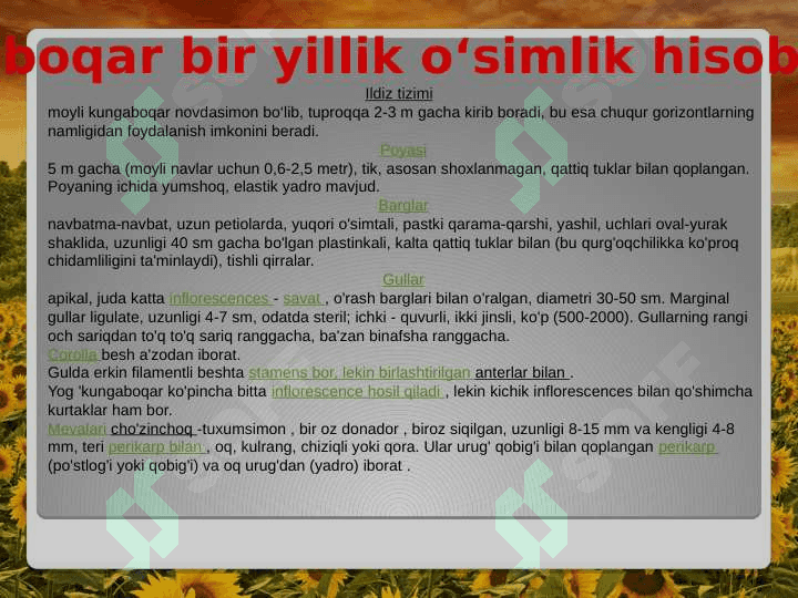 Kungaboqar seleksiyasining asosiy yo'nalishlari va hozirgi kunda seleksioner olimlar tomonidan olib borilayotgan ilmiy tadqiqot izlanishlari 8