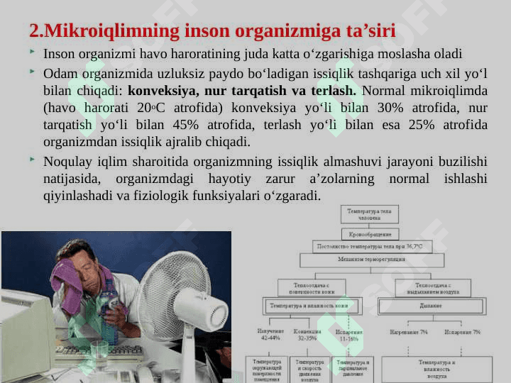 Ishlab chiqarish sanitariyasi va gigienasi, me’yorlari pptx 7