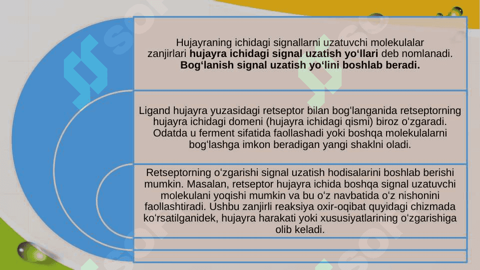 Birlamchi va ikkilamchi messenjerlar va ularning funksiyalari 3