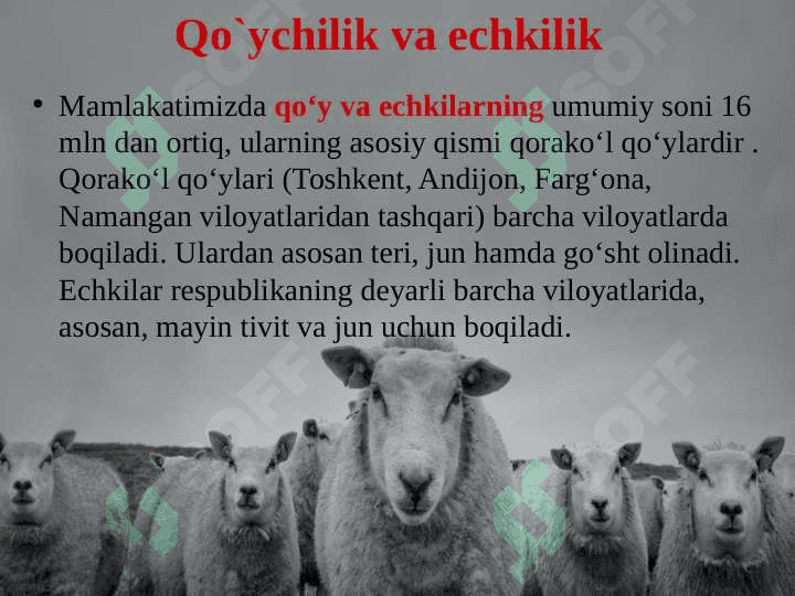 CHORVACHILIK 5