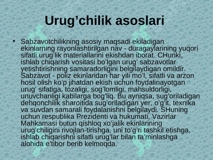 Sabzavot ekinlari urug’chiligining xususiyatlari 3