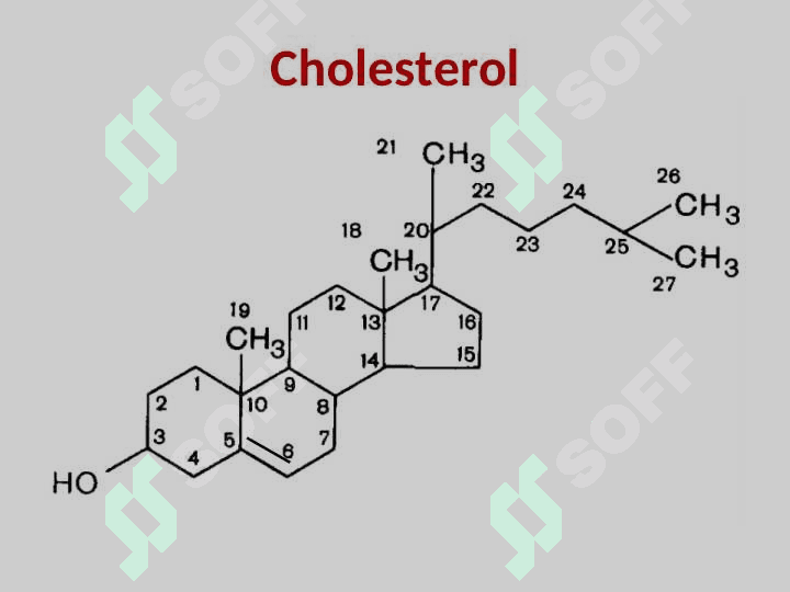 LIPID METABOLISM 6