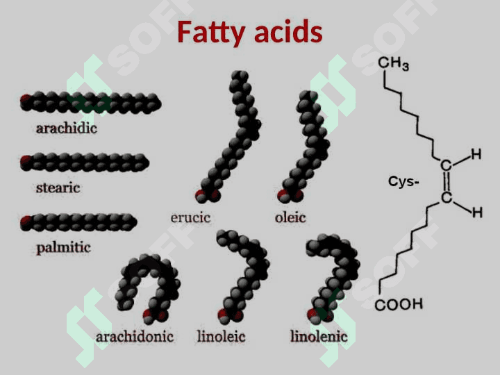 LIPID METABOLISM 7