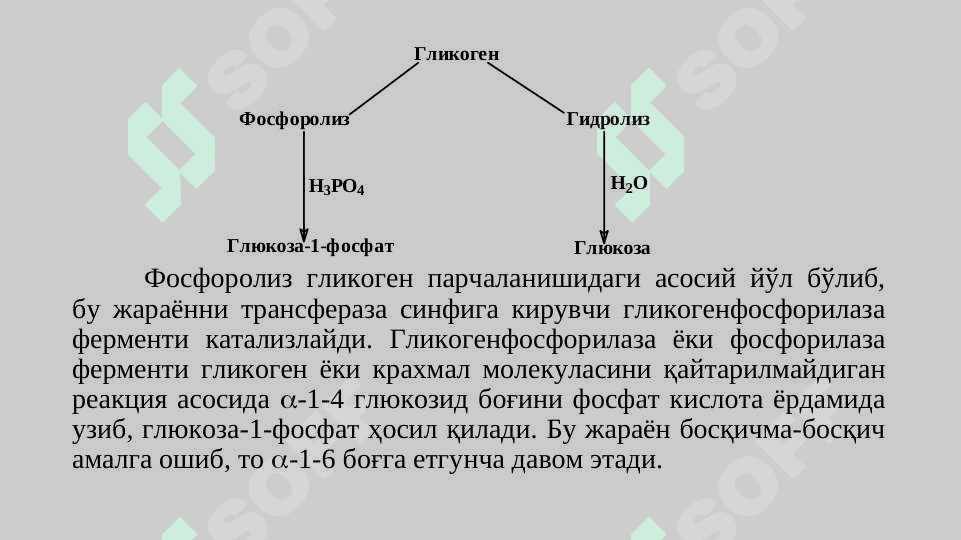 Углеводлар алмашинуви 7