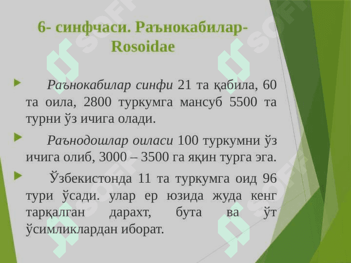 Раънонамолар қабиласи-Rosales 4