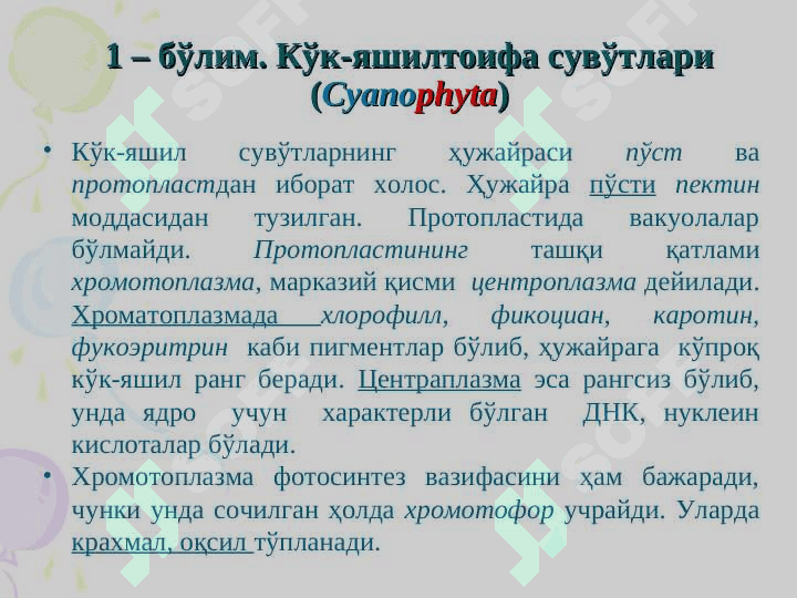 Сувўтлар бўлими 6