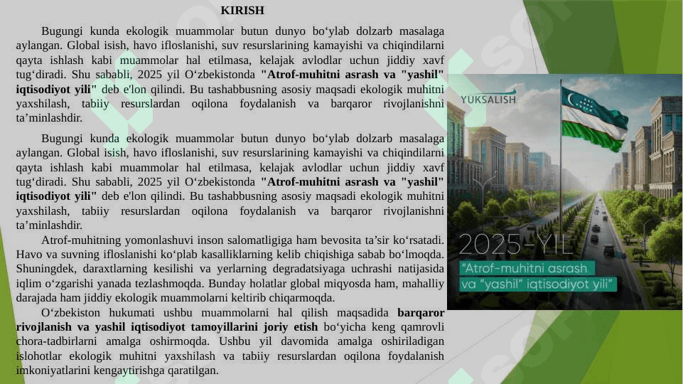 2025 yil – Atrof-muhitni asrash va yashil iqtisodiyot yili 2
