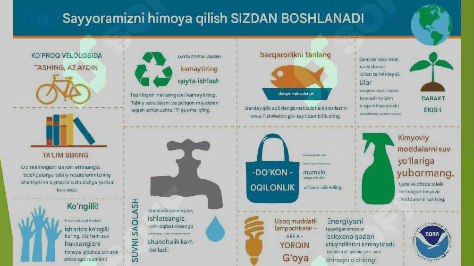2025 yil – Atrof-muhitni asrash va yashil iqtisodiyot yili 6