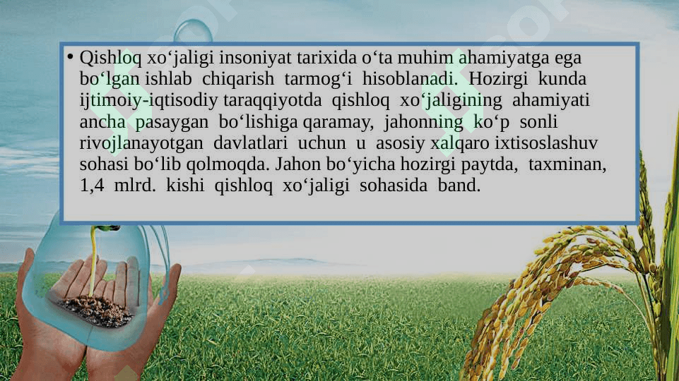 Jahon dehqonchiligi geografiyasi 2