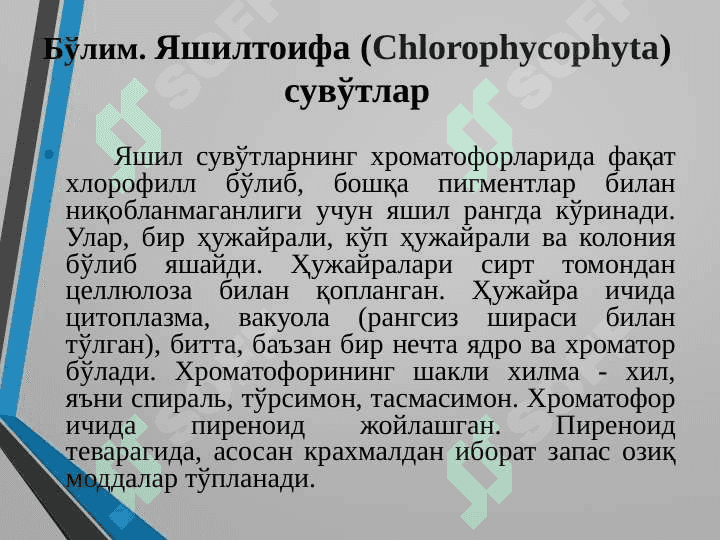 Яшилсувўтлар бўлими 3