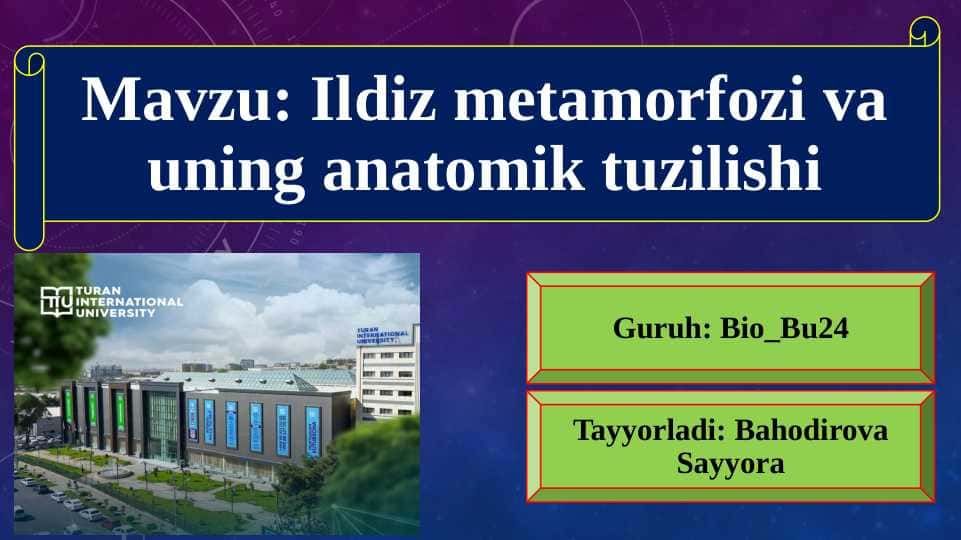 Ildiz metamorfozi va uning anatomik tuzilishi 1