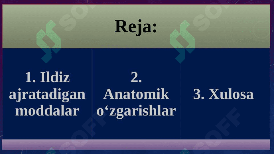 Ildiz metamorfozi va uning anatomik tuzilishi 2