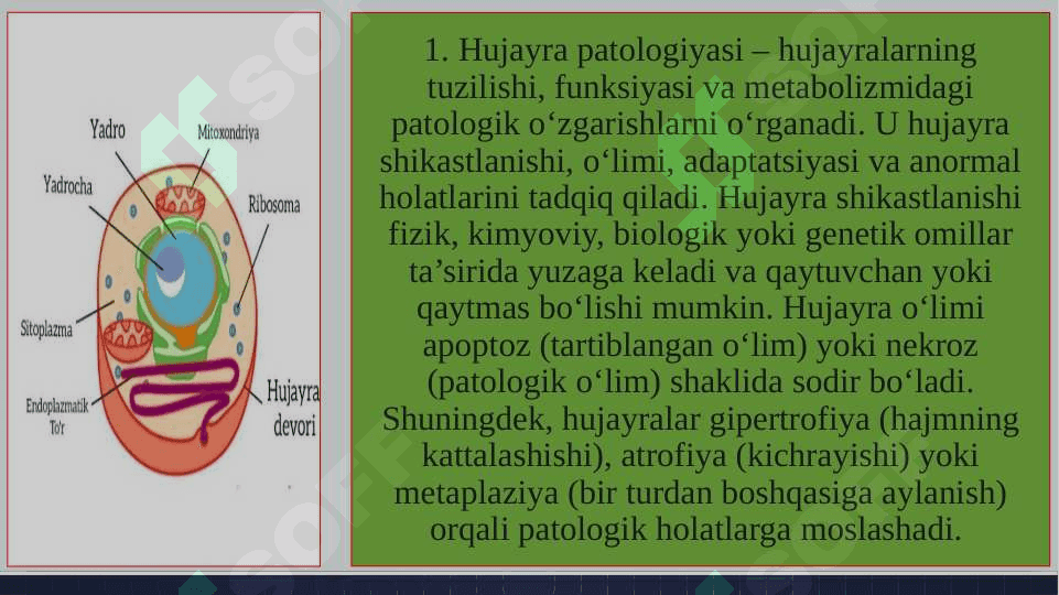 Hujayra patalogiyasi va uning kelib chiqish sabablari 3