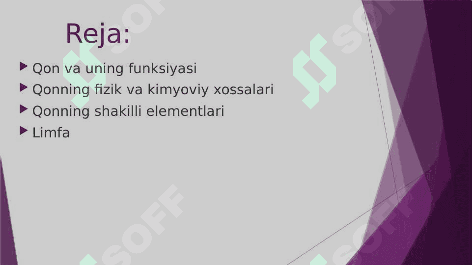 Qon va  limfa 2