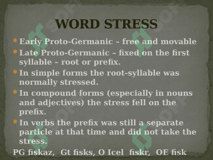 Linguistic features of Germanic languages 3
