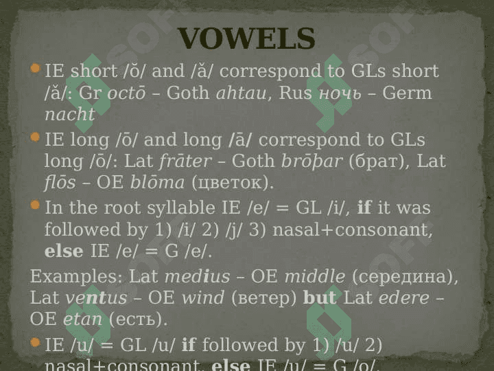 Linguistic features of Germanic languages 4