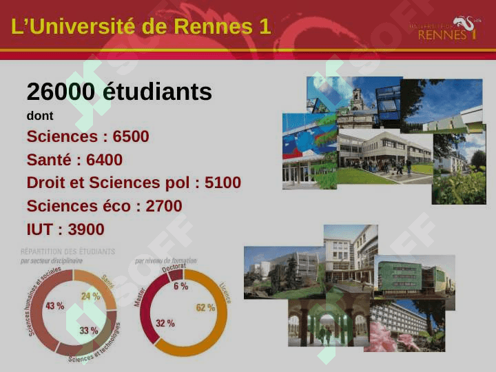 Mes études a l'universite 2