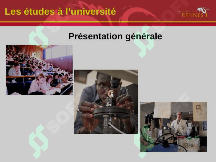 Mes études a l'universite 3