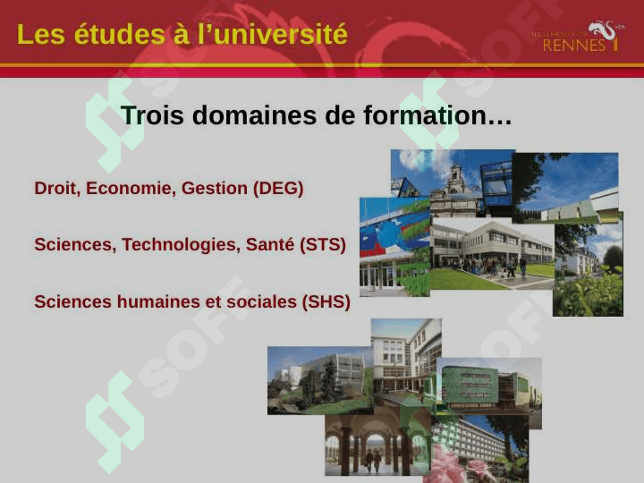 Mes études a l'universite 4
