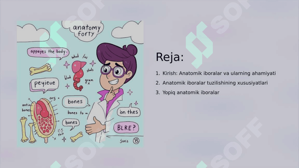 Anatomik iboralarning tarjimasi 2