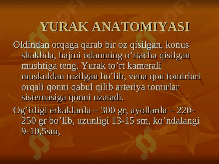 Yurak anatomiyasi | Юрак анатомияси 5