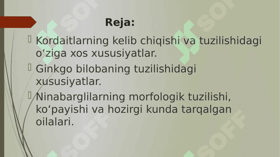Qarag‘aytoifa yoki ochiq urug‘lilar (Pinophyta) bo‘limi pptx 2