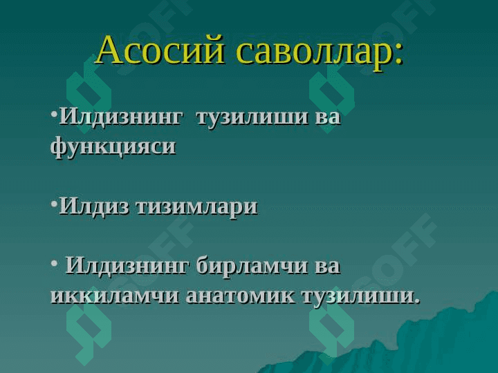 Илдиз ва илдизлар тизими pptx 2
