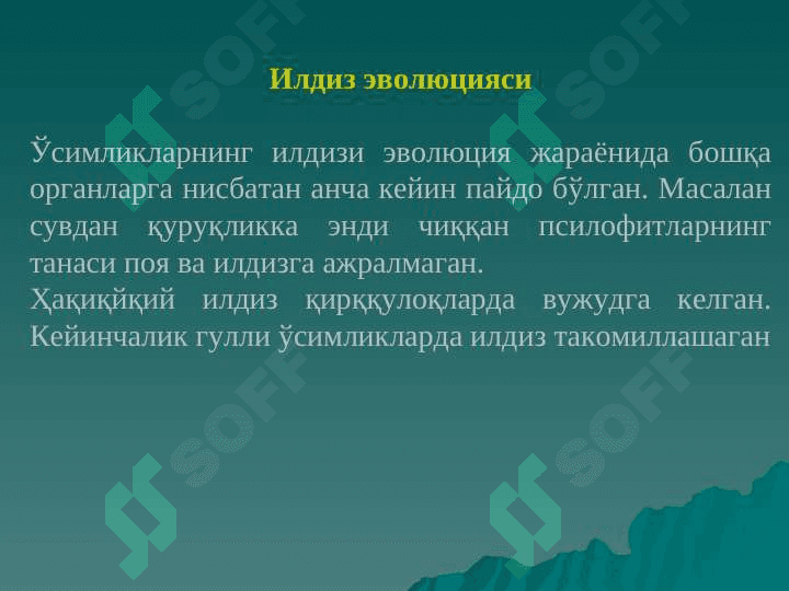 Илдиз ва илдизлар тизими pptx 3