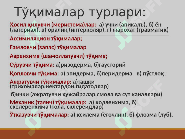 Ўсимлик тўқималари pptx 6