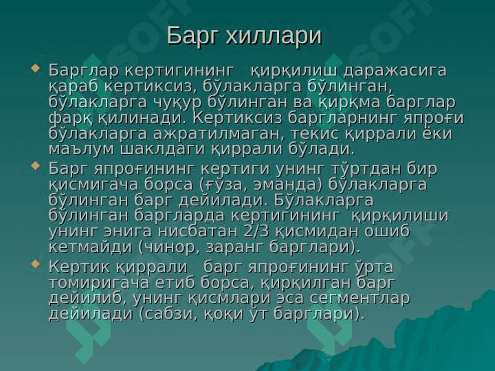 barg pptx 7