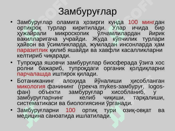 Замбуруғлар бўлими - MYCOTA  pptx 4
