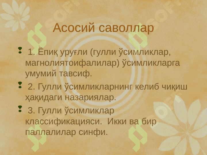 Гулли ўсимликлар, Магнолиятоифалилар (Magnoliophyta), Ёпиқуруғлилар (Angyospermae) pptx 2