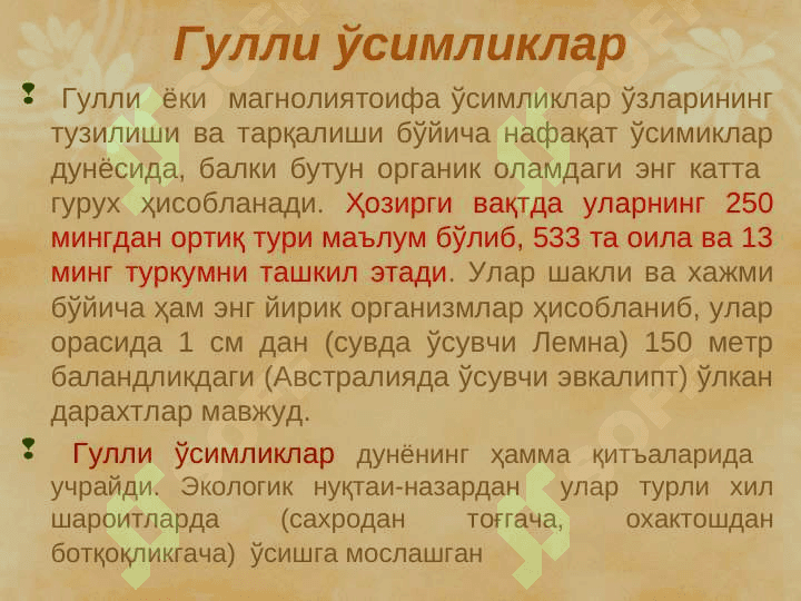 Гулли ўсимликлар, Магнолиятоифалилар (Magnoliophyta), Ёпиқуруғлилар (Angyospermae) pptx 3