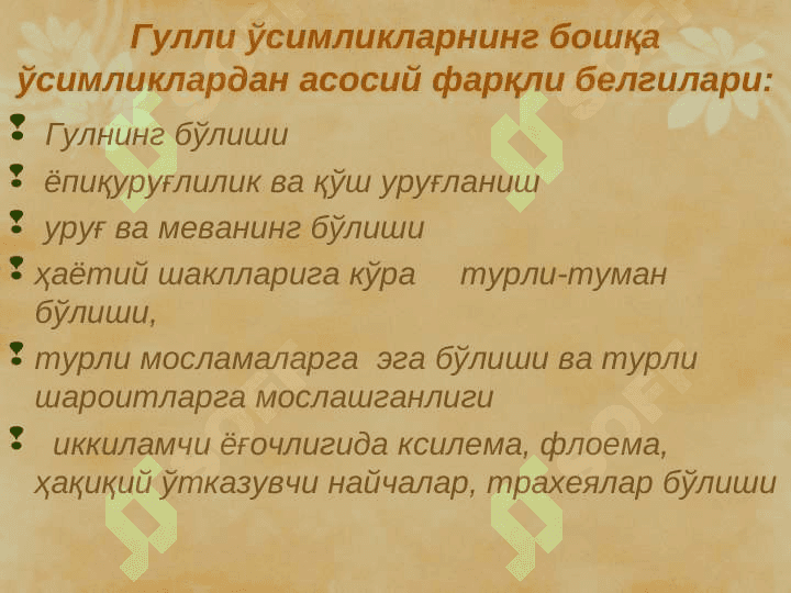 Гулли ўсимликлар, Магнолиятоифалилар (Magnoliophyta), Ёпиқуруғлилар (Angyospermae) pptx 4