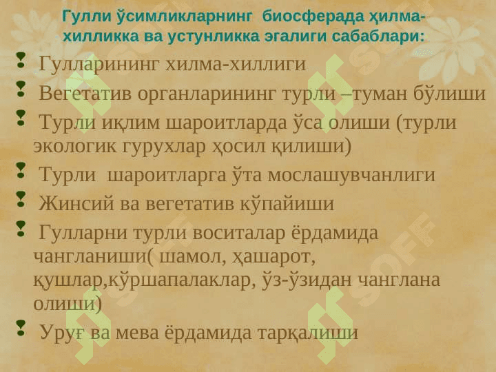 Гулли ўсимликлар, Магнолиятоифалилар (Magnoliophyta), Ёпиқуруғлилар (Angyospermae) pptx 5