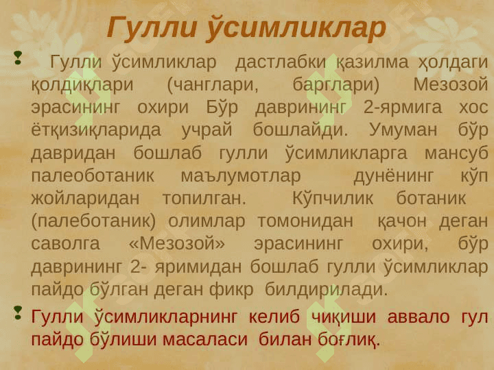 Гулли ўсимликлар, Магнолиятоифалилар (Magnoliophyta), Ёпиқуруғлилар (Angyospermae) pptx 6