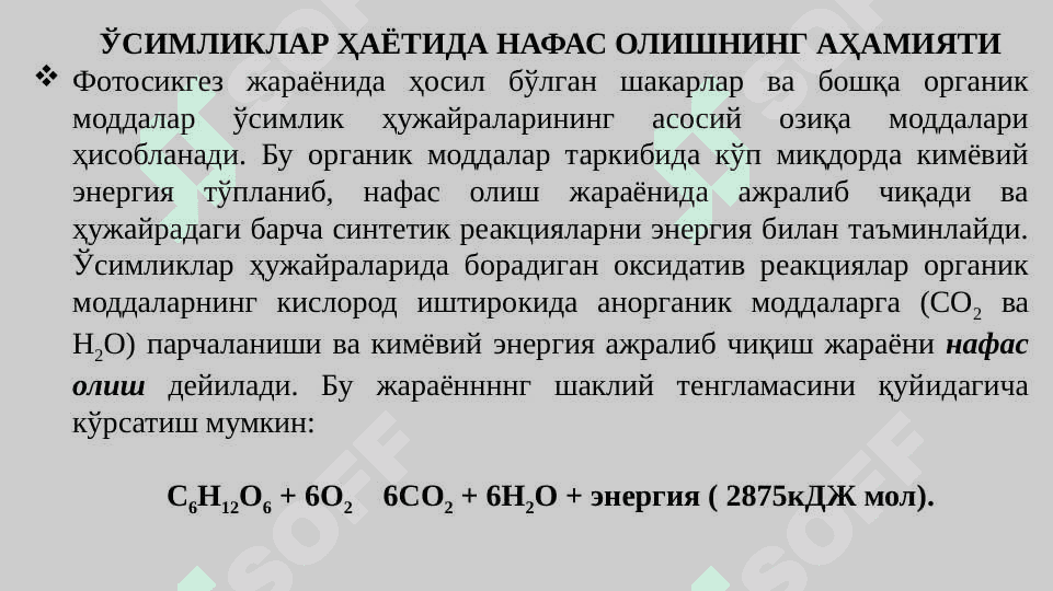 ЎСИМЛИКЛАРНИНГ НАФАС ОЛИШИ pptx 3