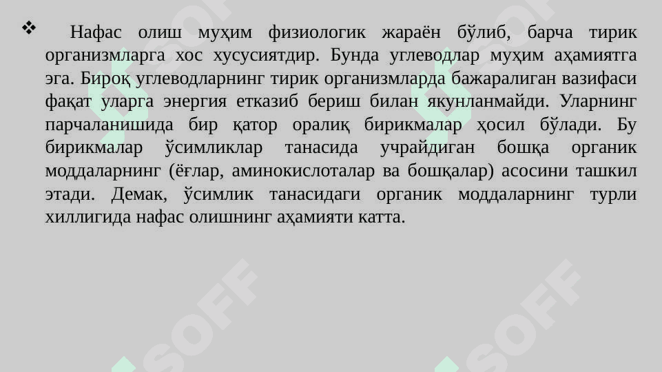 ЎСИМЛИКЛАРНИНГ НАФАС ОЛИШИ pptx 4