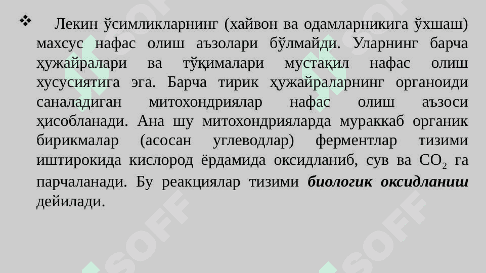 ЎСИМЛИКЛАРНИНГ НАФАС ОЛИШИ pptx 5