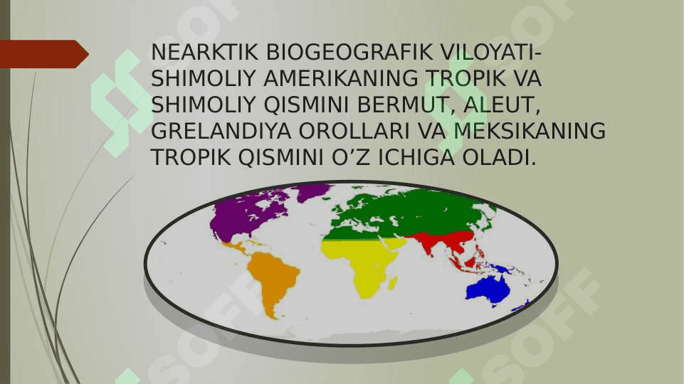 NEARKTIK ZOOGEOGRAFIK VILOYATI pptx 2