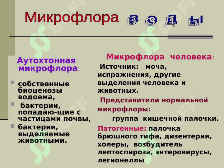 Экология микроорганизмов. санитарная микробиология. водная, почвенная и воздушная микрофлора 4