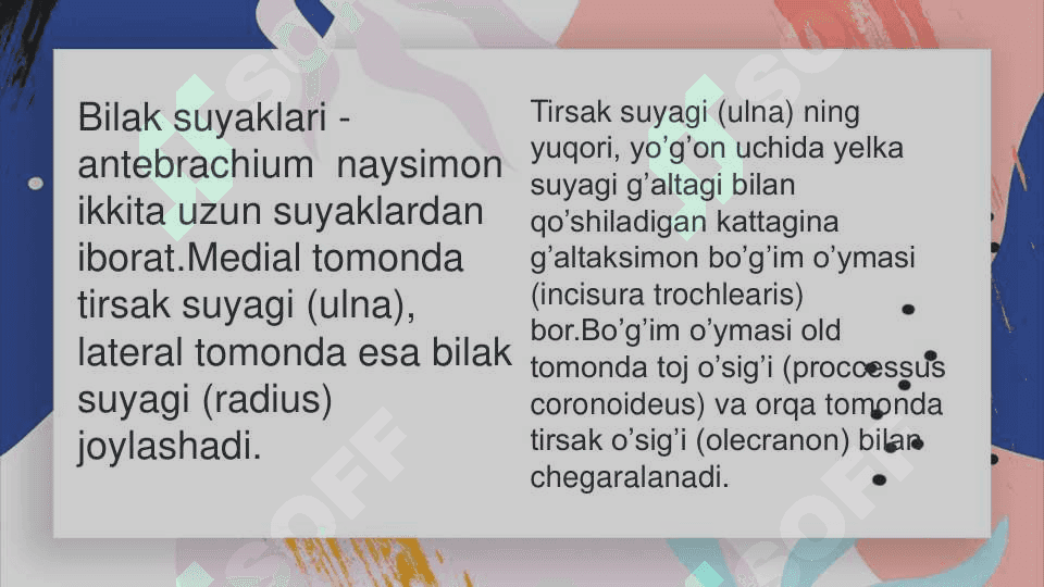 Qolning erkin turgan bolimidagi suyaklar. Qo’lning kamari suyaklari va ularning birikishi 5