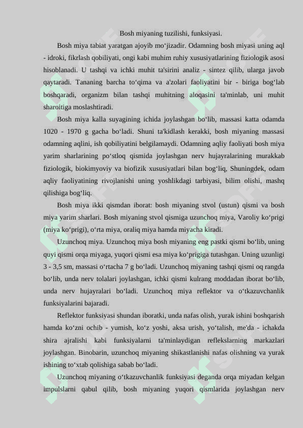 Bosh miyaning tuzilishi 2