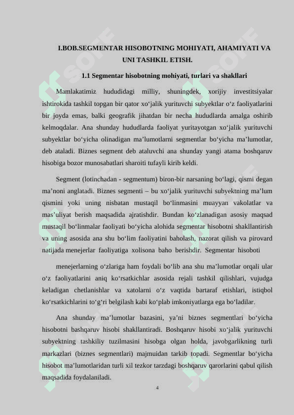 TASHQI FOYDALANUVCHILAR UCHUN SEGMENTLAR BO'YICHA HISOBOTNI TUZISH TARTIBLARI 4