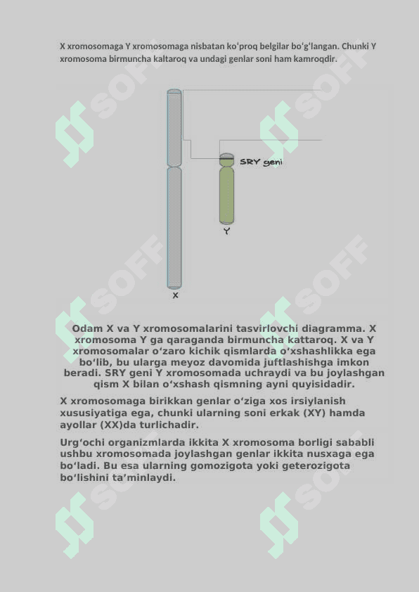 Odamlarda normal va patologik belgilarning irsiylanishi 2