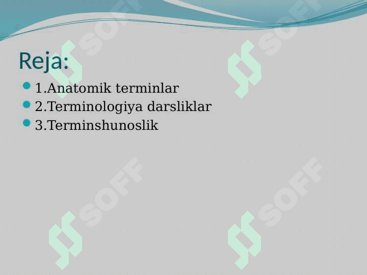 Lotin tili terminologiyasi asoschilari. 2